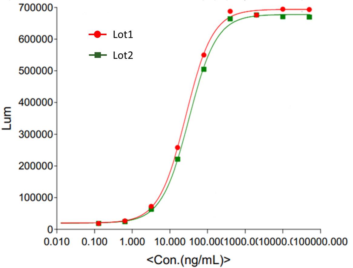 Trastuzumab