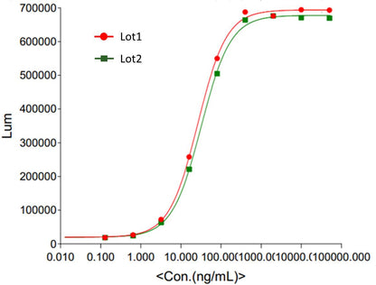 Trastuzumab