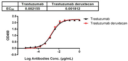 Trastuzumab