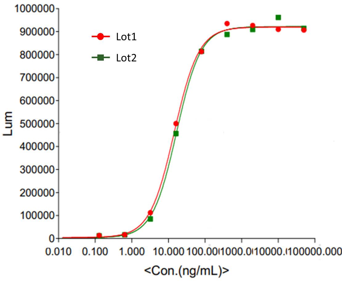 Trastuzumab