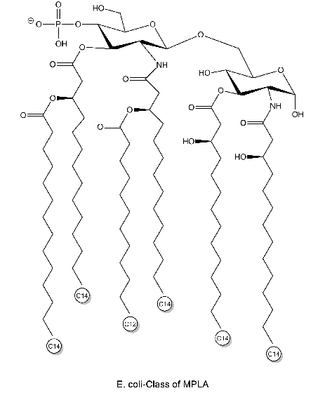 MPLA from E. coli R515 (Re) TLRpure Sterile Solution