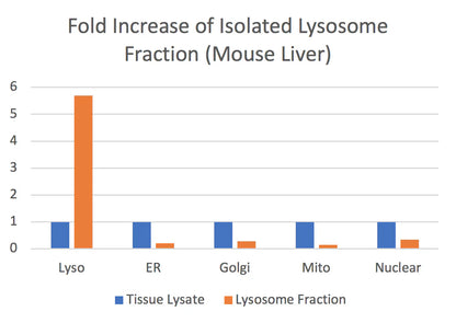 MinuteTM Lysosome Isolation Kit