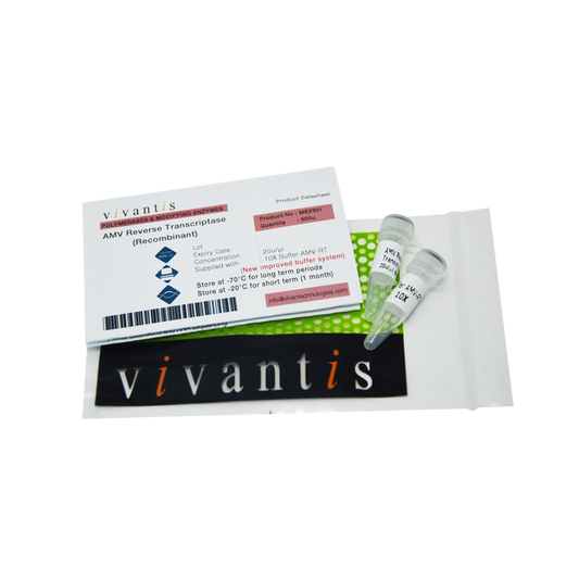 AMV Reverse Transcriptase (Recombinant)