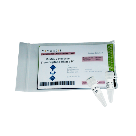 M-MuLV Reverse Transcriptase (RNase H-)