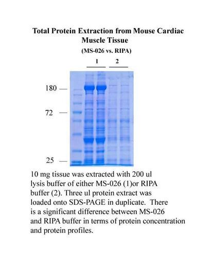 MinuteTM Total Protein Extraction Kit for Mass Spectrometry