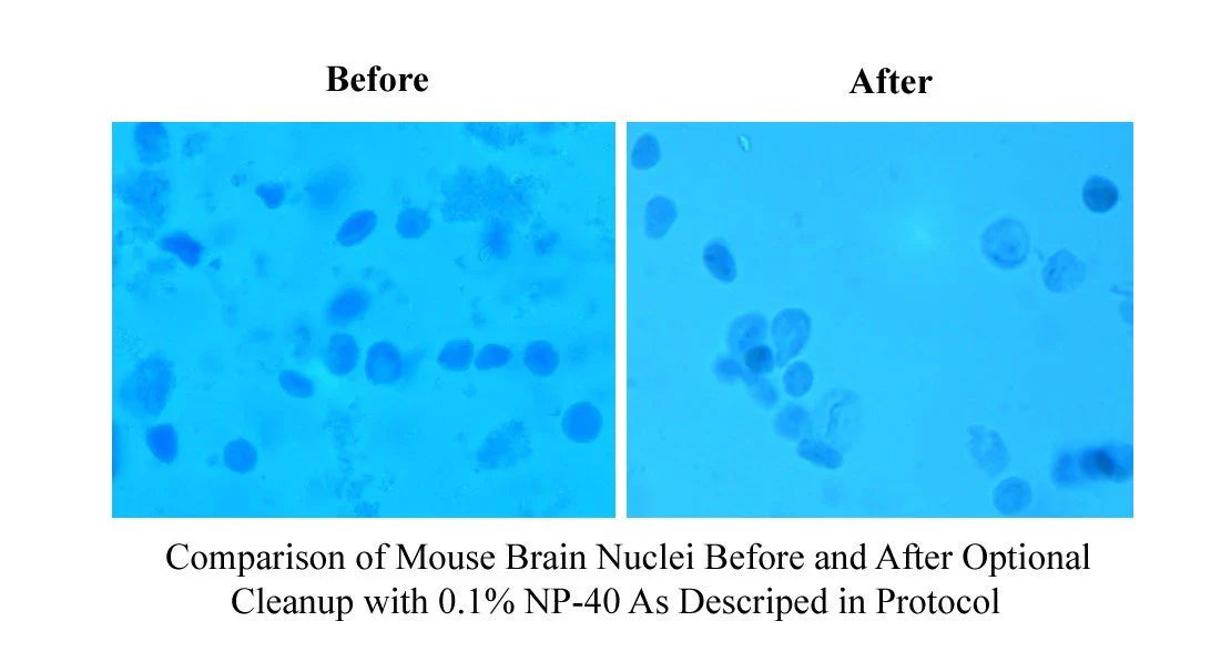 MinuteTM Detergent-Free Nuclei Isolation Kit