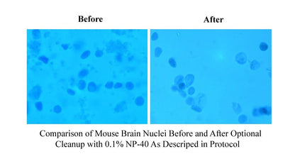 MinuteTM Detergent-Free Nuclei Isolation Kit