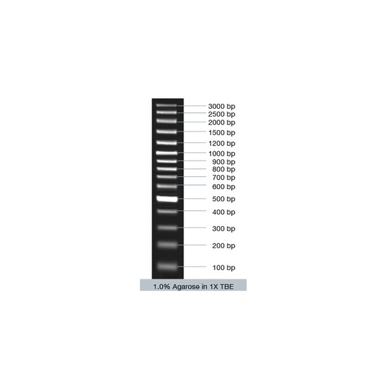 VC100bp Plus DNA Ladder