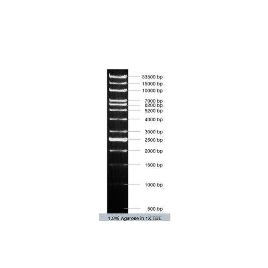VC 1kb-Ex DNA Ladder