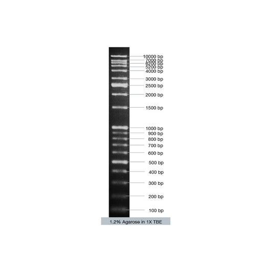 VC DNA Ladder Mix
