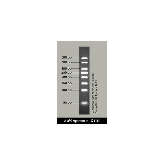VC 50bp DNA Ladder (ready-to-use)