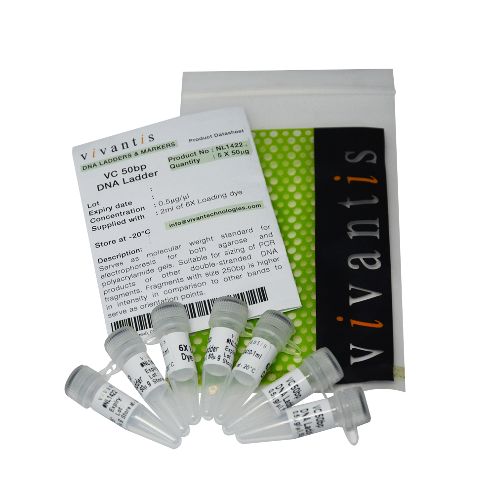 VC 50bp DNA Ladder
