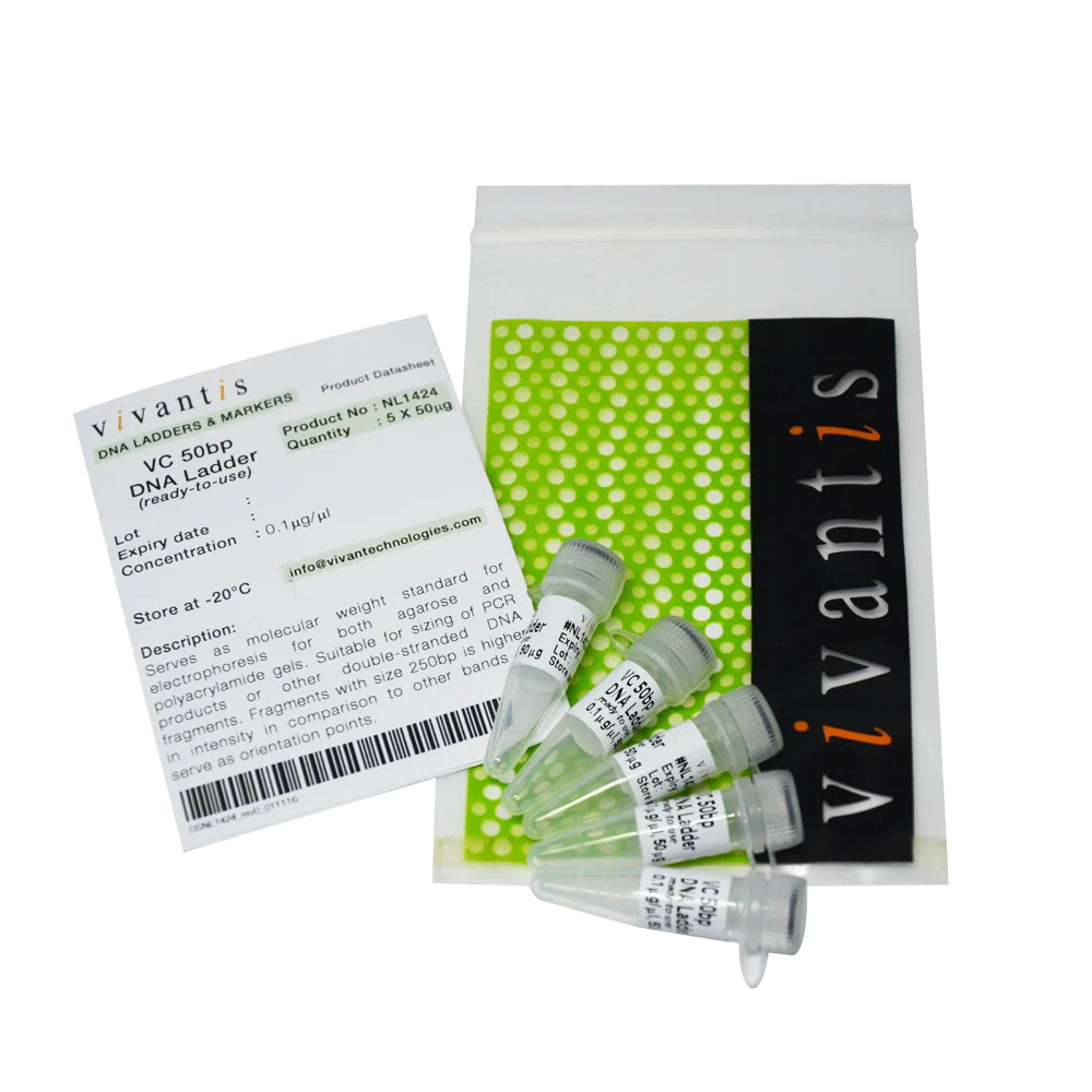 VC 50bp DNA Ladder (ready-to-use)
