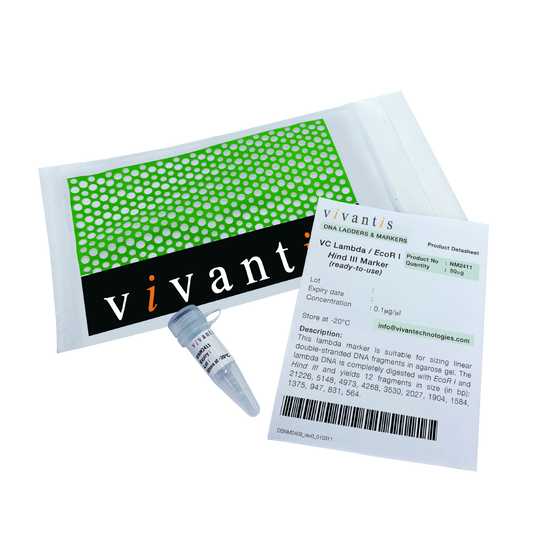VC Lambda / EcoR I + Hind III Marker (ready-to-use)