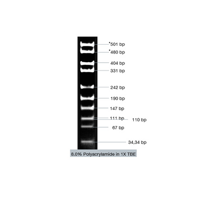 VC pUC19 / Msp I Marker - Q2UB
