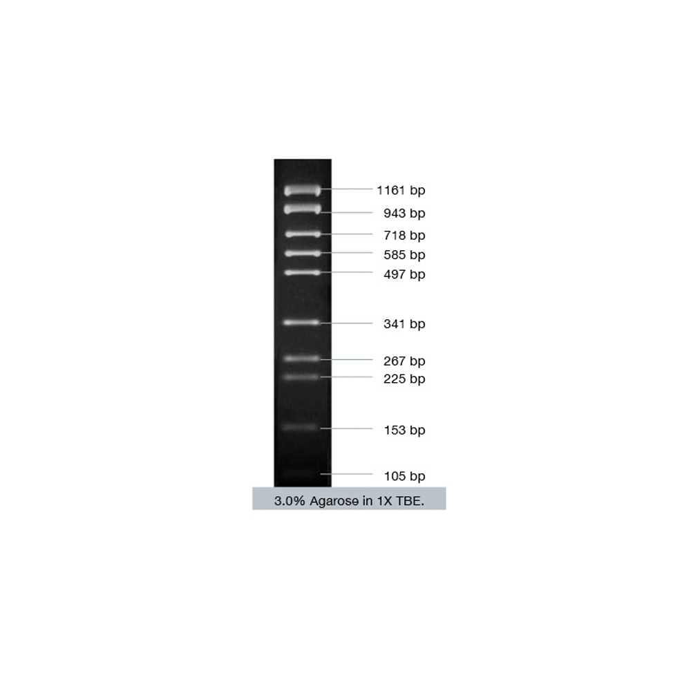 MilliMark PCR Marker - Q2UB