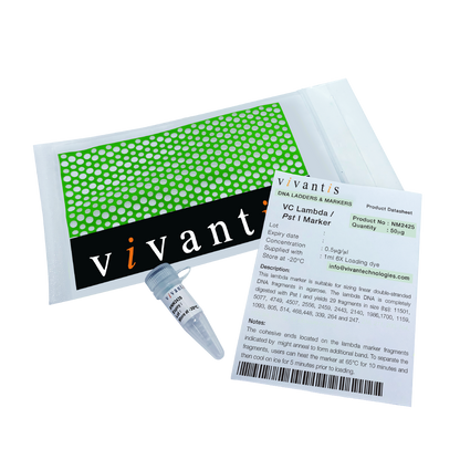 VC Lambda / Pst I Marker