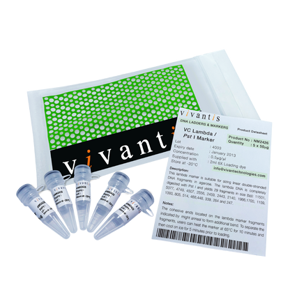 VC Lambda / Pst I Marker