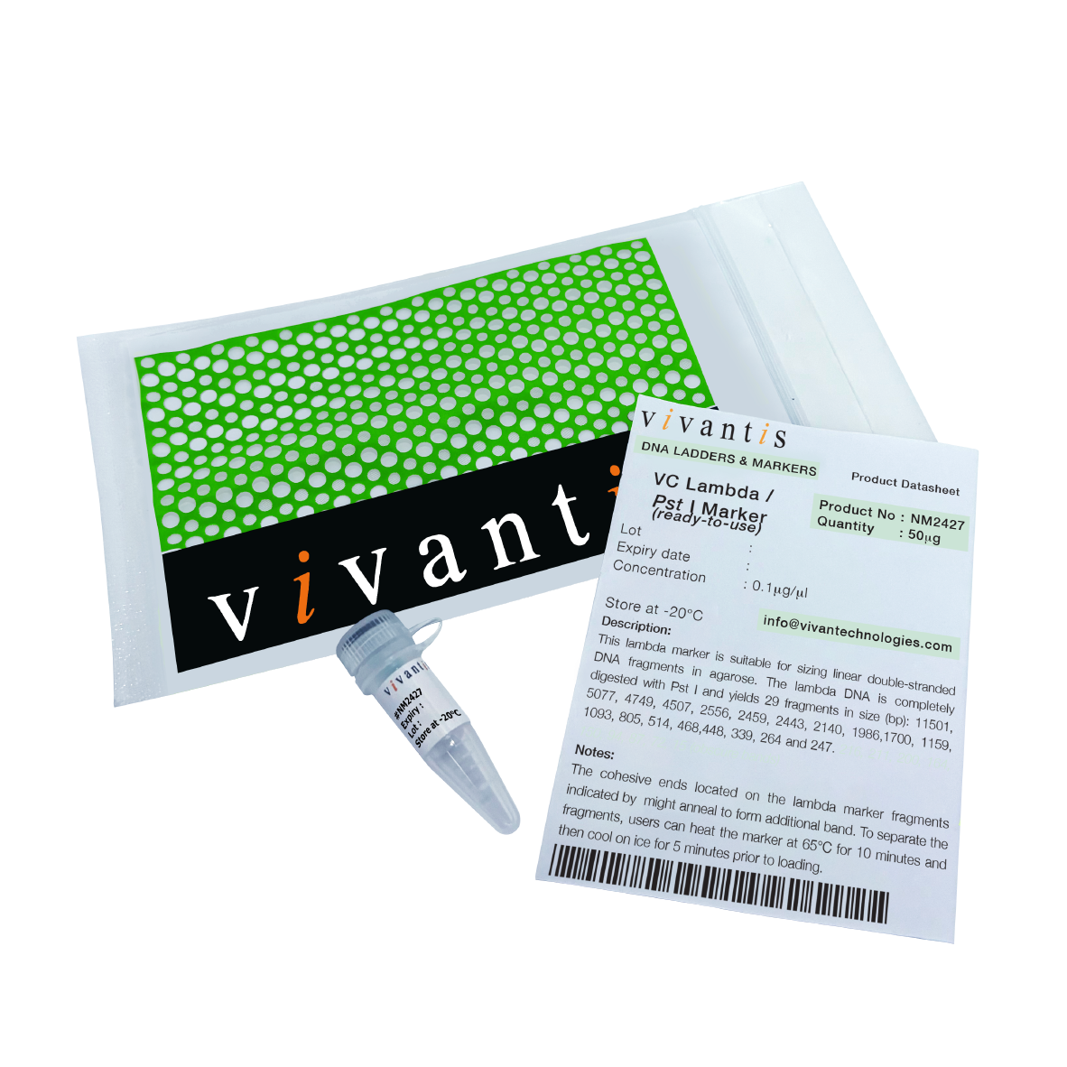 VC Lambda / Pst I Marker (ready-to-use)