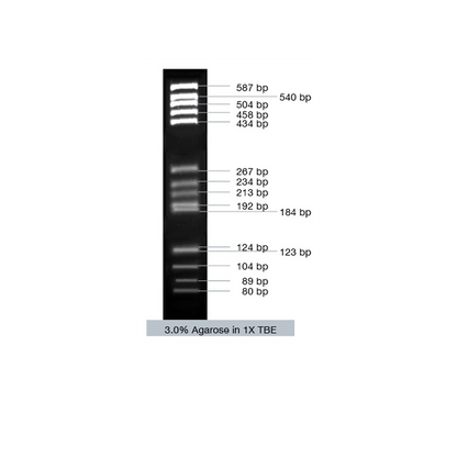 VC pBR 322/ Hae III Marker
