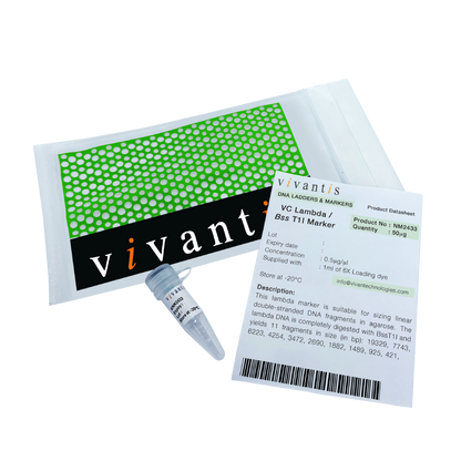VC Lambda / BssT1I Marker