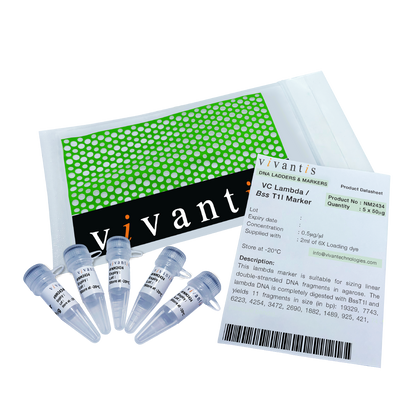 VC Lambda / BssT1I Marker