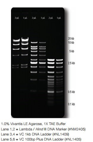 Agarose (Molecular Biology Grade)