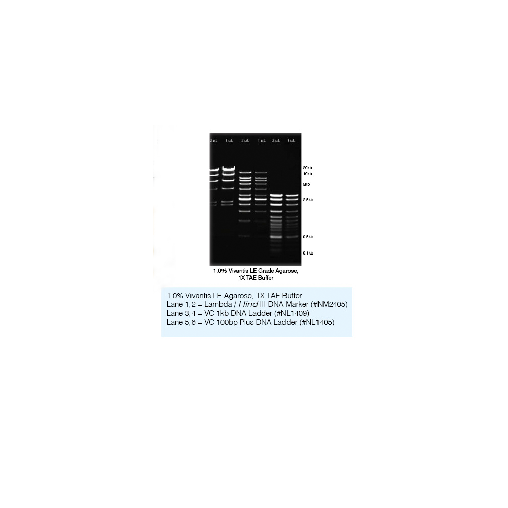 Agarose (Molecular Biology Grade)