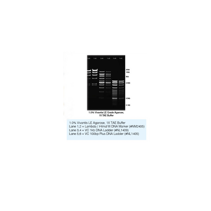 Agarose (Molecular Biology Grade)