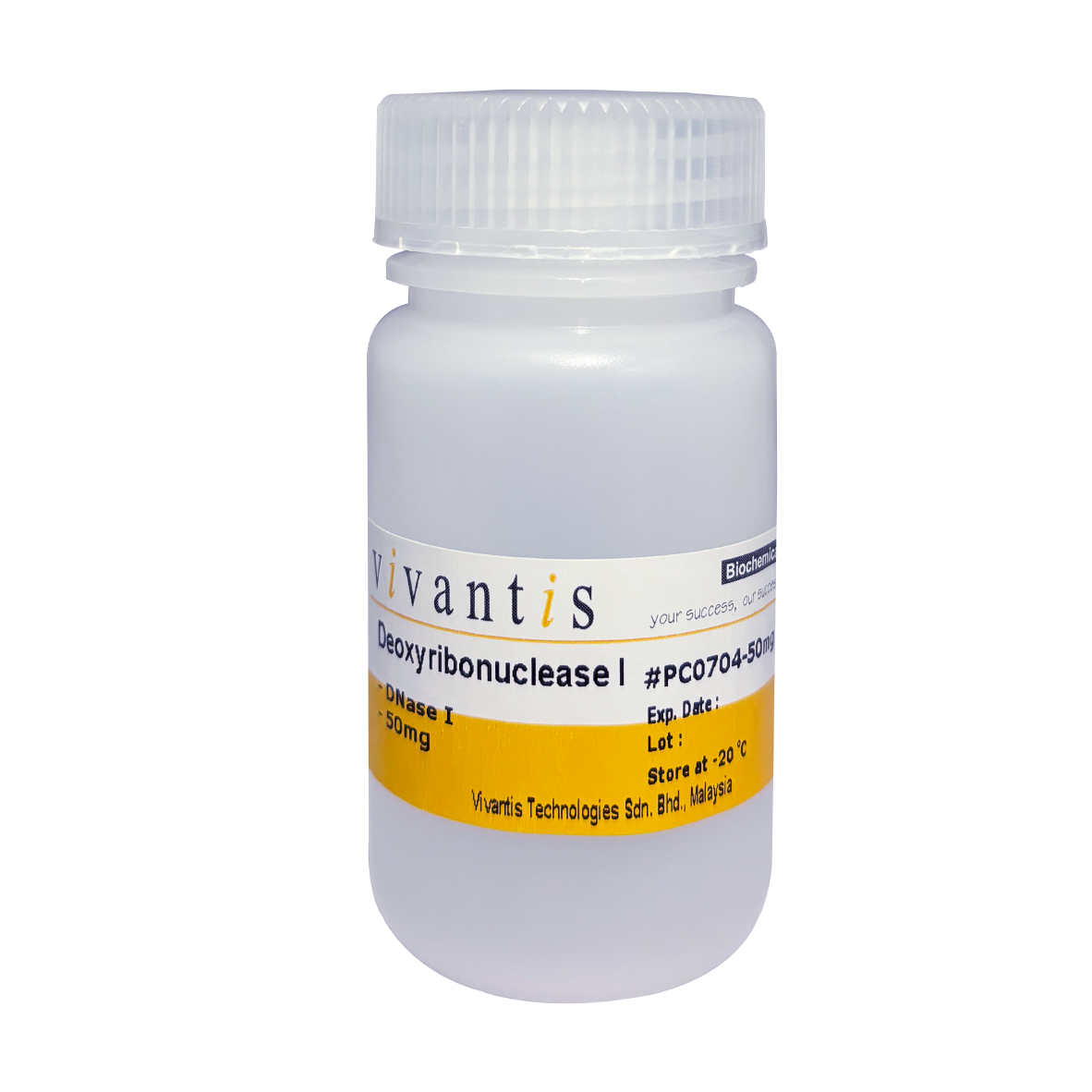 Deoxyribonuclease I (DNase I)