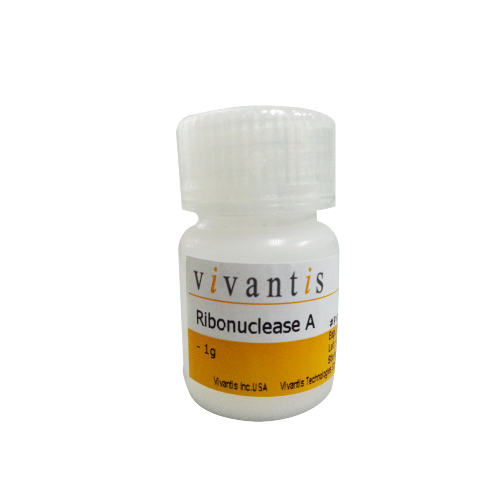 Ribonuclease A (RNase A), High Purity Grade