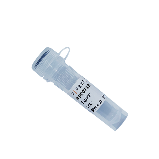 Ribonuclease A (RNase A), High Purity Grade