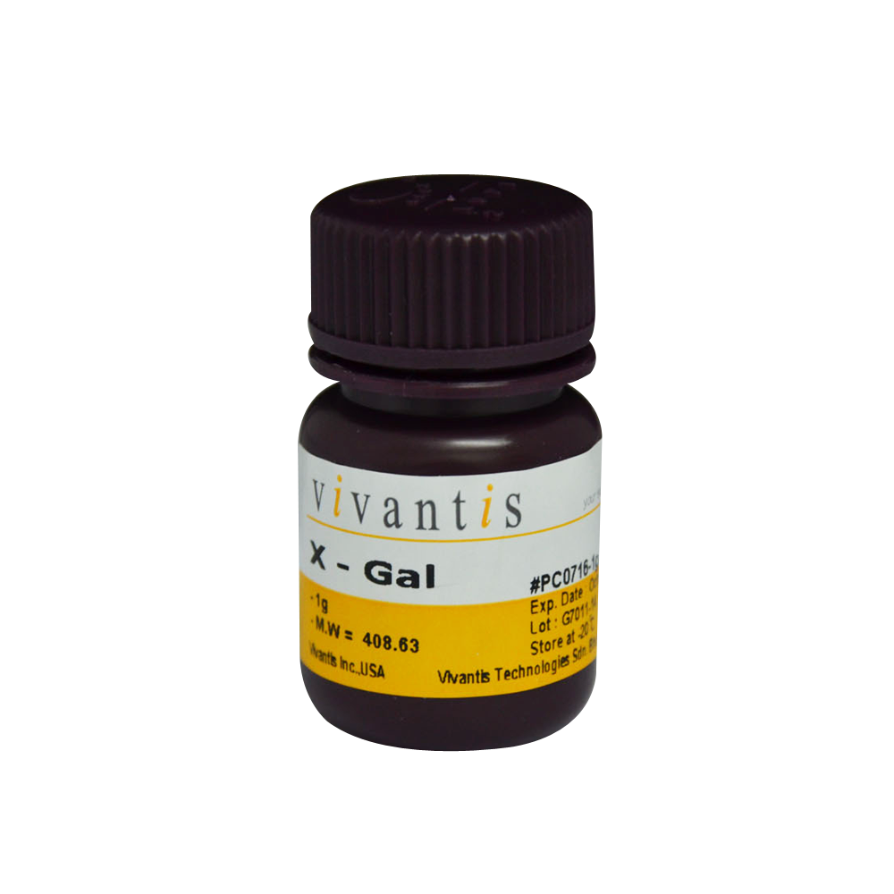 X-Gal (5-Bromo-4-Chloro-3-Indolyl-beta-D-galactopyranoside)
