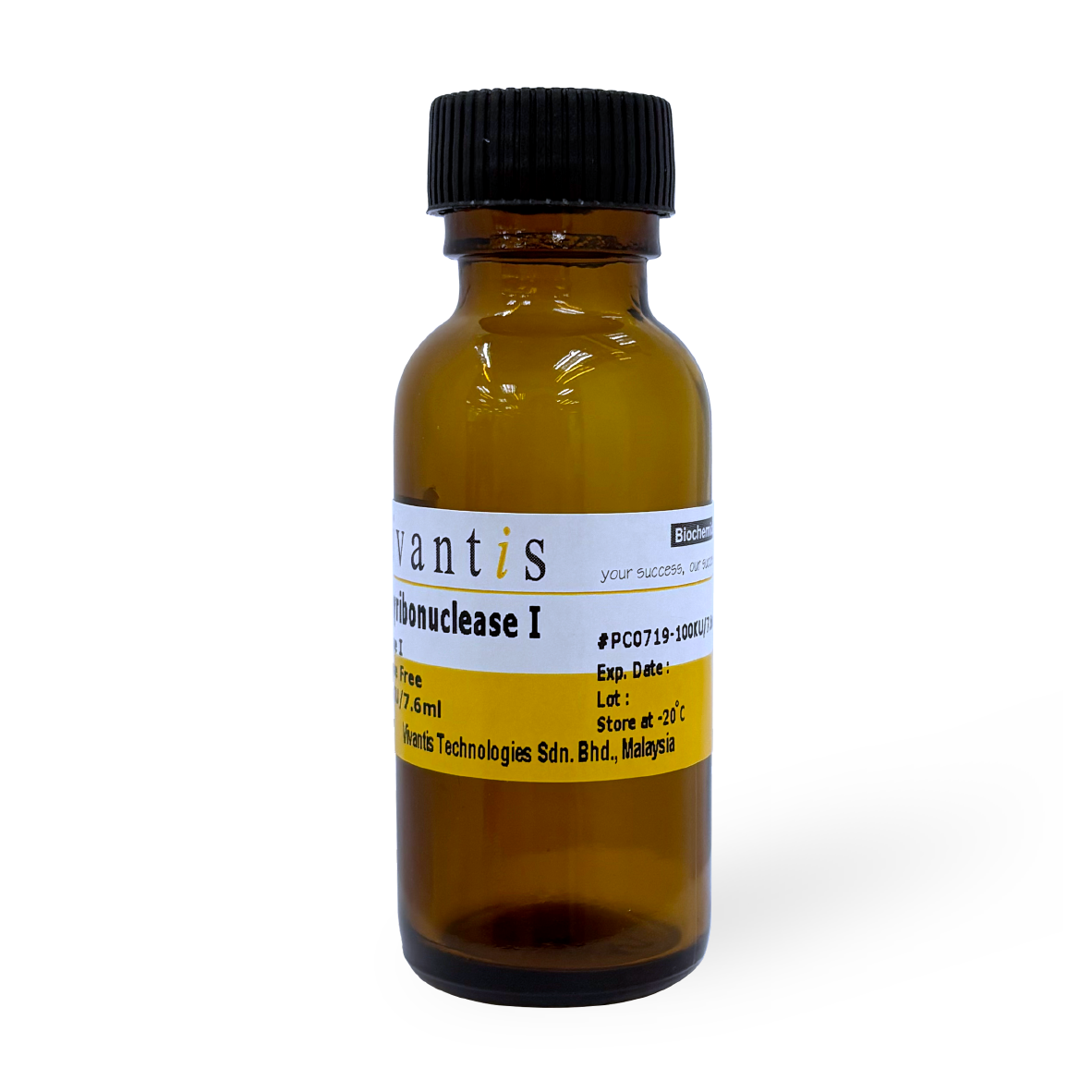 Deoxyribonuclease I (DNase I) - for RNA work