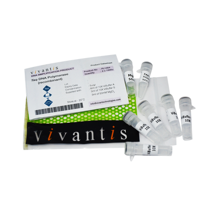 Taq DNA Polymerase (5U/µl) - Q2UB