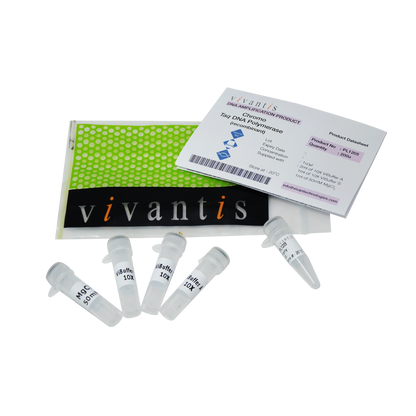 Chromo Taq DNA Polymerase  (1U/µl)