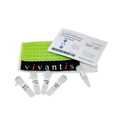 AtTaq DNA Polymerase  (5U/µl)
