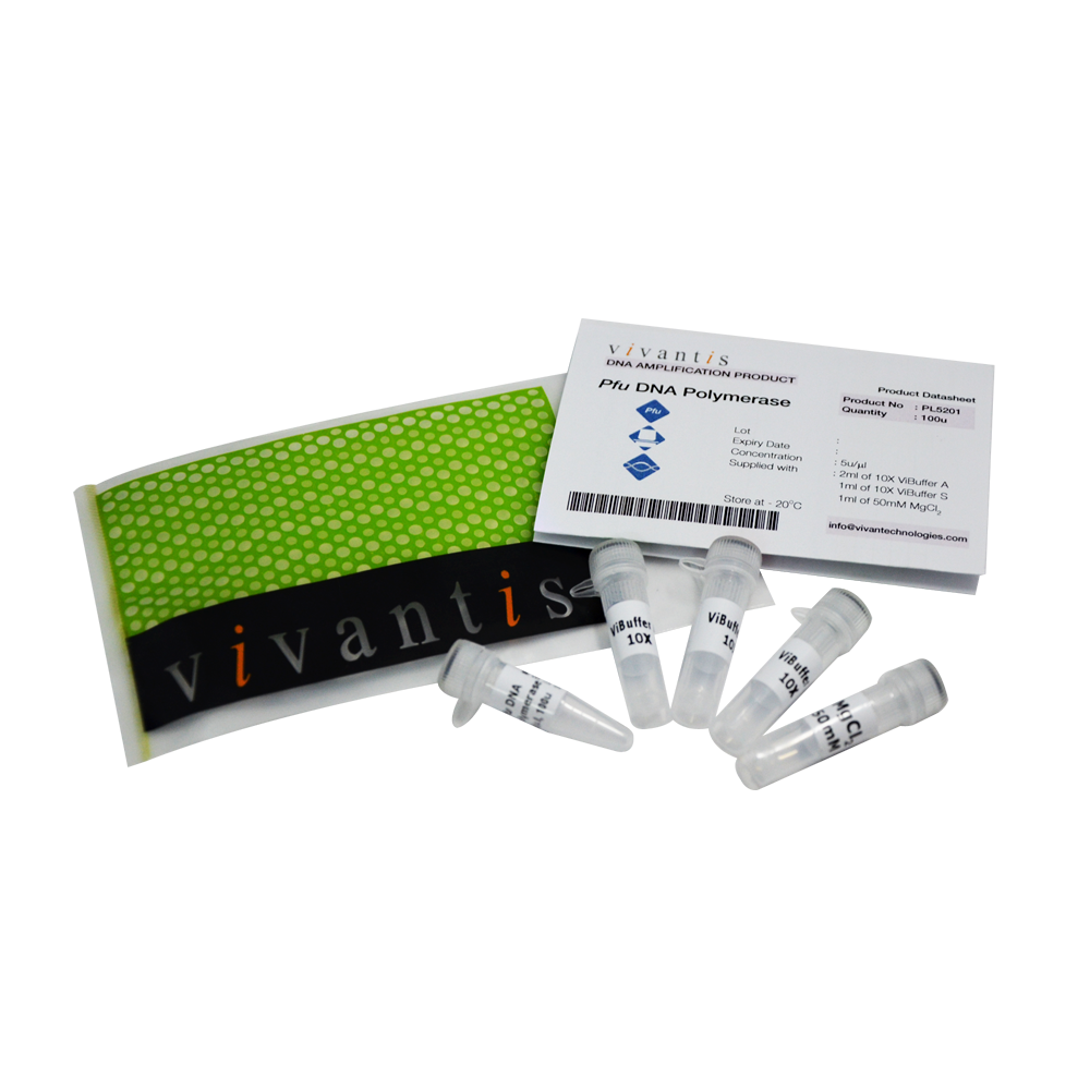Pfu DNA Polymerase  (5U/µl)