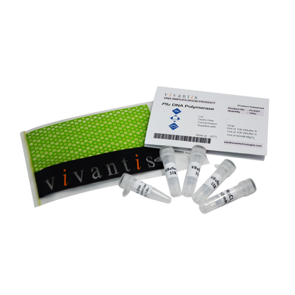 Pfu DNA Polymerase  (5U/µl)