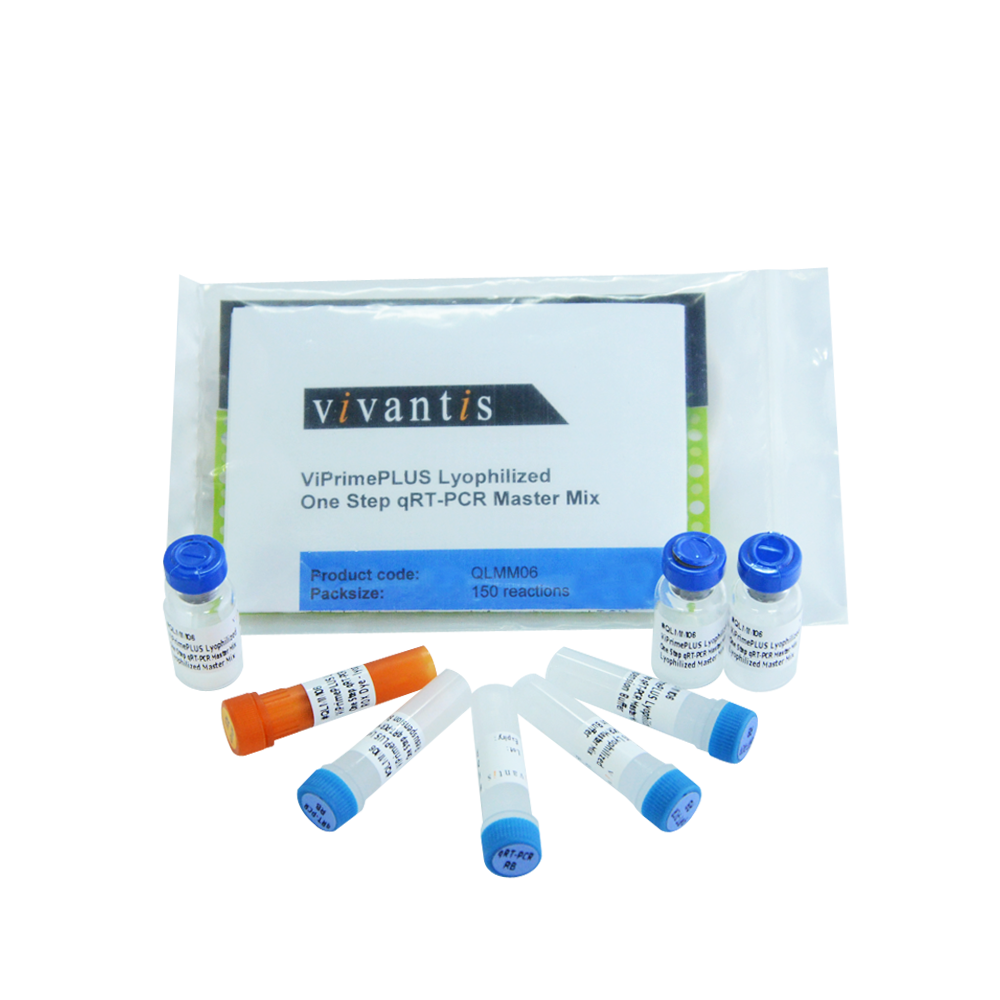 ViPrimePLUS Lyophilized OneStep RT-qPCR Master Mix