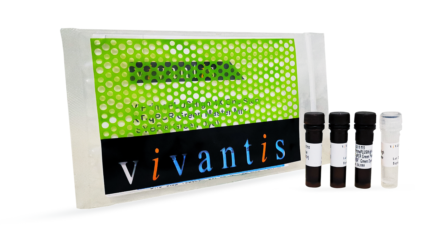 ViPrimePLUSHigh 5X One Step RT-qPCR Green Master Mix I (SYBR® Green Dye) - Q2UB