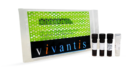 ViPrimePLUSHigh 5X One Step RT-qPCR Green Master Mix I (SYBR® Green Dye) - Q2UB