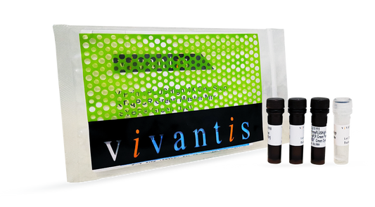 ViPrimePLUSHigh 5X One Step RT-qPCR Green Master Mix I (SYBR® Green Dye)