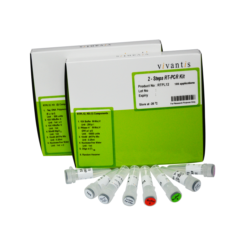 Viva 2-Steps RT-PCR Kit with M-MULV RT / Taq DNA Polymerase