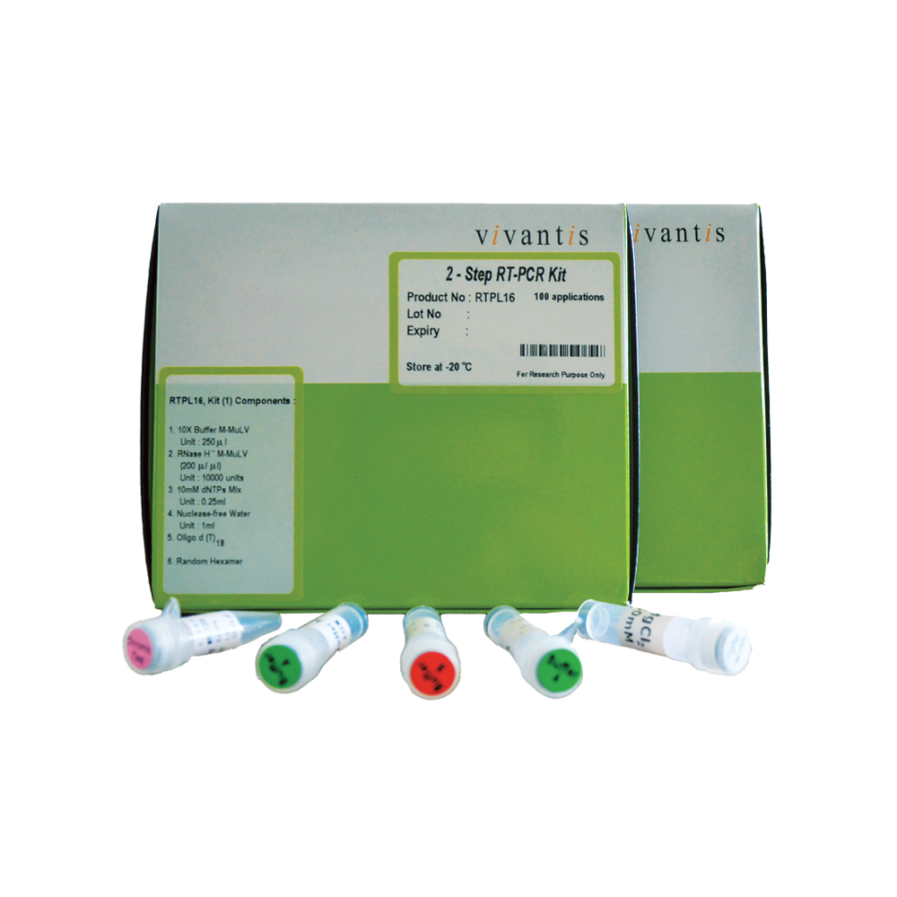 Viva 2-Steps RT-PCR Kit with M-MULV RT / Chromo Taq DNA Polymerase
