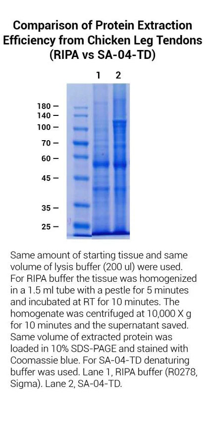 MinuteTM Total Protein Extraction Kit for Tendons