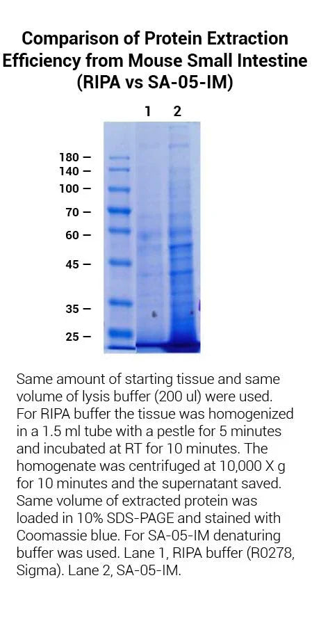 MinuteTM Total Protein Extraction Kit for Intestines and Mesentery