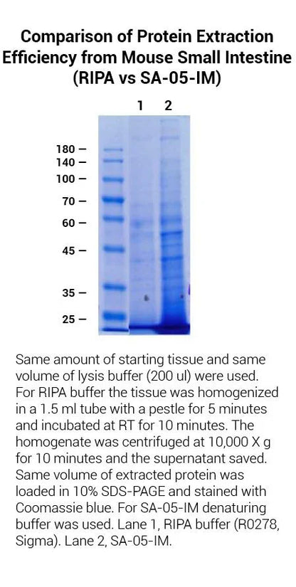 MinuteTM Total Protein Extraction Kit for Intestines and Mesentery