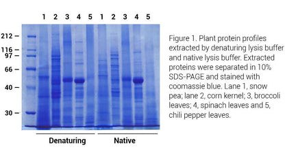 Minute TM Total Protein Extraction Kit for Plant Tissues