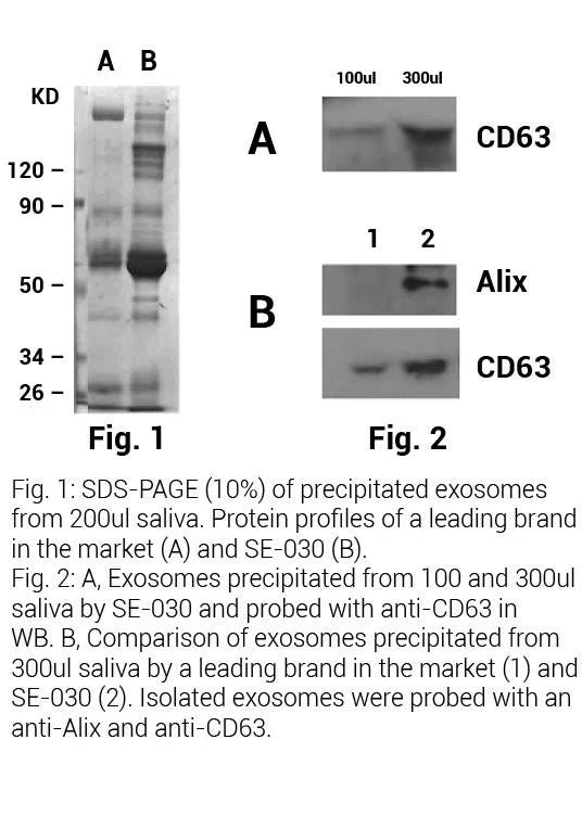 MinuteTM Hi-Efficiency Saliva Exosome Isolation Kit (Non-PEG)